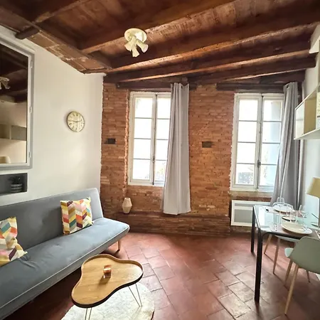 En Brique Toulousain شقة تولوز
