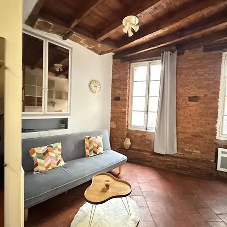 شقة En Brique Toulousain